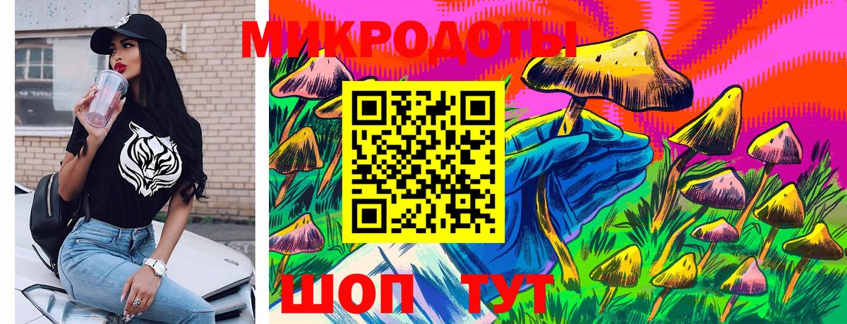 Ревда  Псилоцибиновые грибы ЛСД  Псилоцибиновые грибы GOLDEN TEACHER  Вход с VPN 