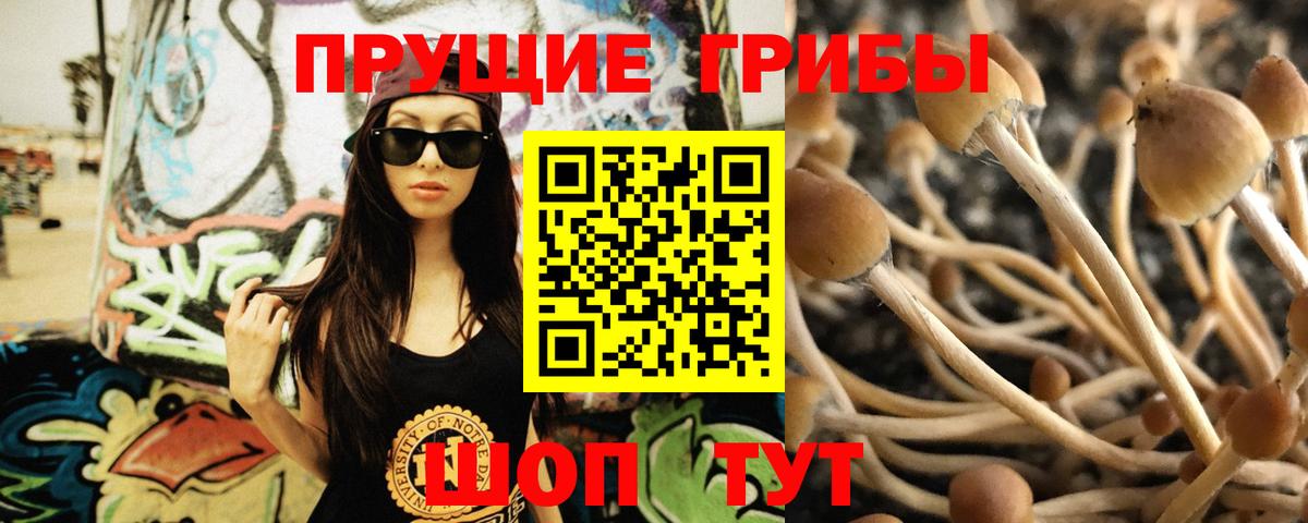 Псилоцибиновые грибы мухоморы Ревда